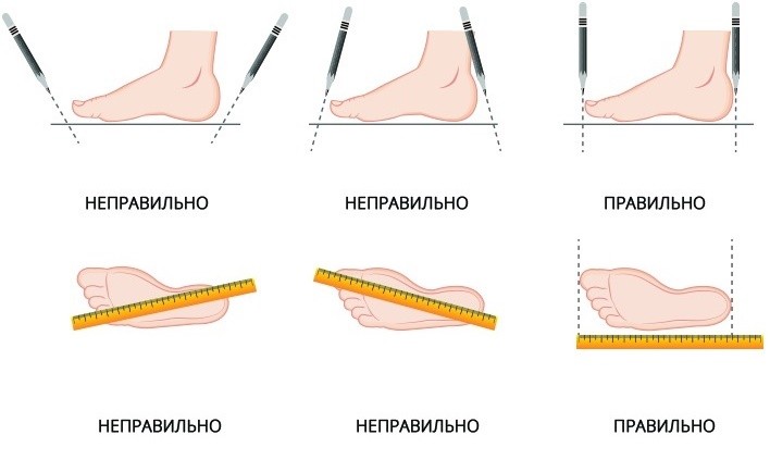 Розмірн ноги для ролика