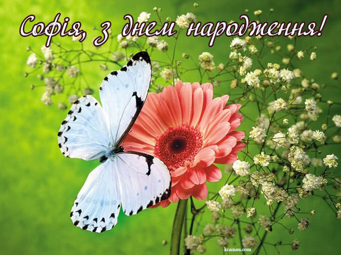 Листівка з Днем Народження Соня