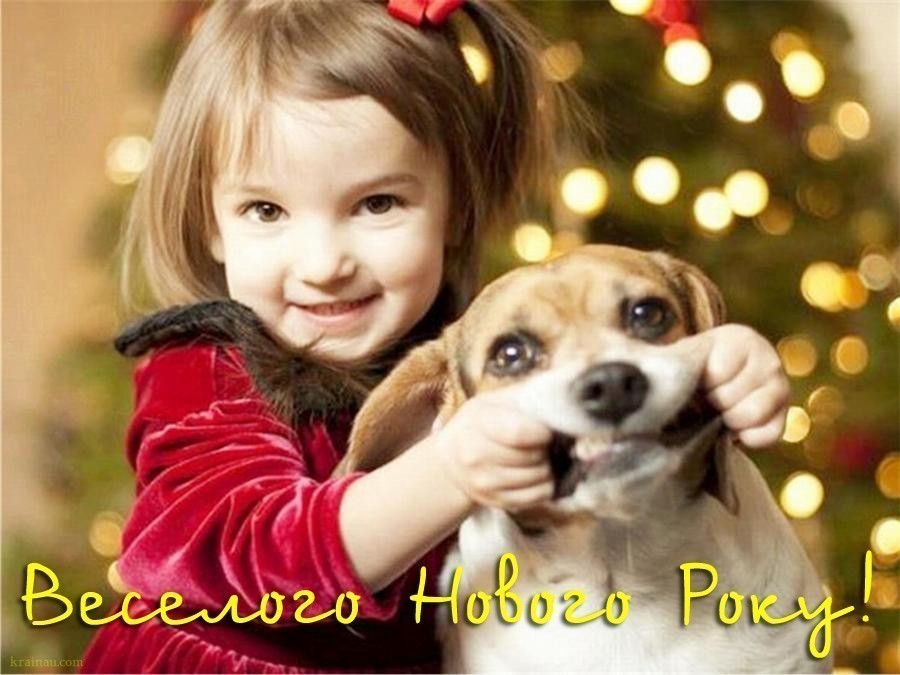 Прикольні фото з Новим Роком 15