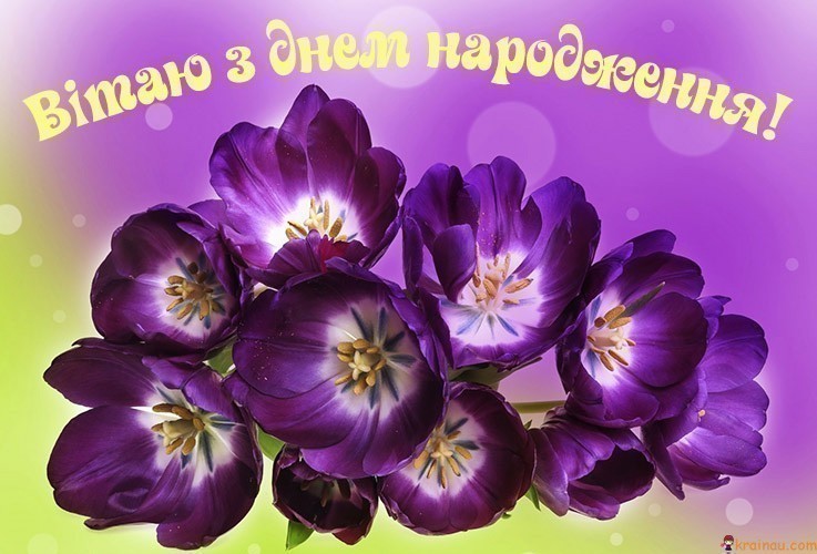 Листівка з Днем Народження українською 14