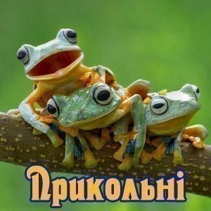 Привітання з Днем народження прикольні
